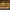 Image for article: 'Golden Ticket Theatre Sale' on Stagedoor