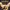Harry Potter and the Cursed Child square photo