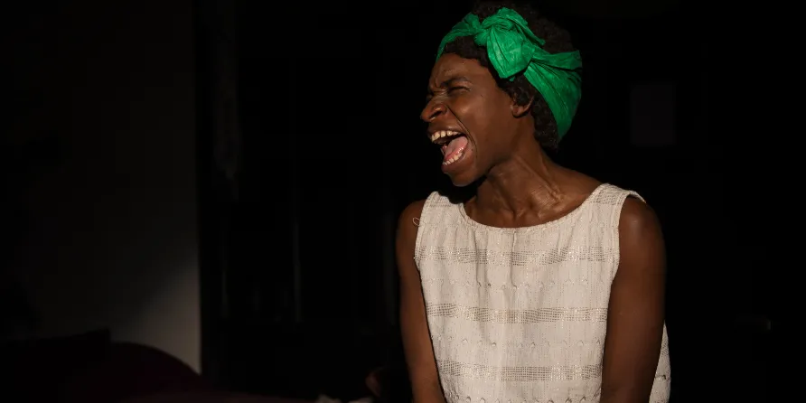 Review: Black Is The Color Of My Voice cover photo on Stagedoor