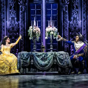 Media for Beauty and the Beast the Musical on Stagedoor