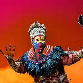 Media for The Lion King on Stagedoor