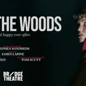 Media for Into the Woods on Stagedoor